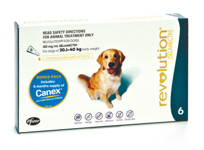 Revolution + Canex (Teal) Dog 20.1-40Kg - 6 Pack Revolution