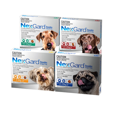 NEXGARD FOR DOGS 25.1-50KG - Red 3 Pack