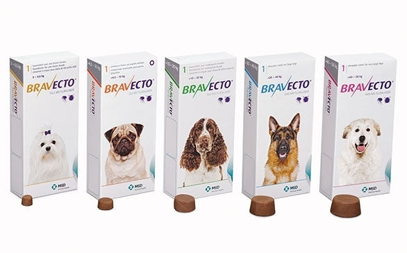 Bravecto Medium Dog Green 10-20kg Single Chew Flea & Tick Control - Medium