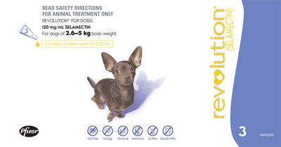 Revolution (Purple) Dog 2.6-5Kg - 3 Pack Revolution