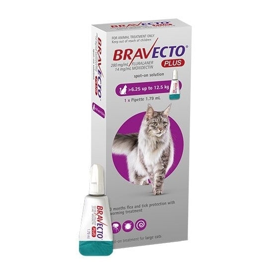 Bravecto PLUS Spot-On 3 month Flea, Tick & Worm Protection - For Cats 6.25-12.5kg Bravecto