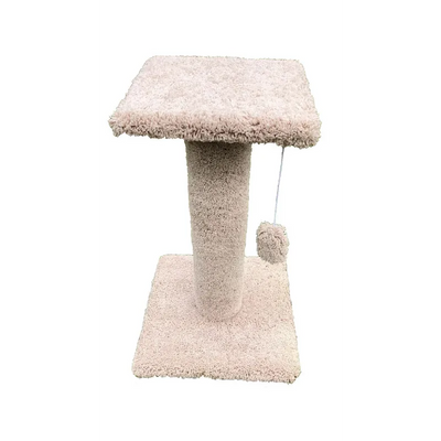 Crazy Cat Scratcher 27" With Platform
