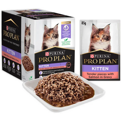 Pro Plan Kitten Salmon Pouch 85G 12Pk (Om12)