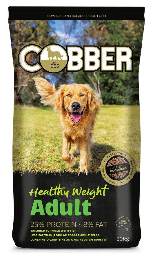 Cobber Adult Healthy Weight 20Kg (36)