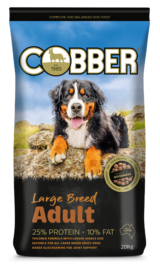 Cobber Adult Large Breed 20Kg (36)