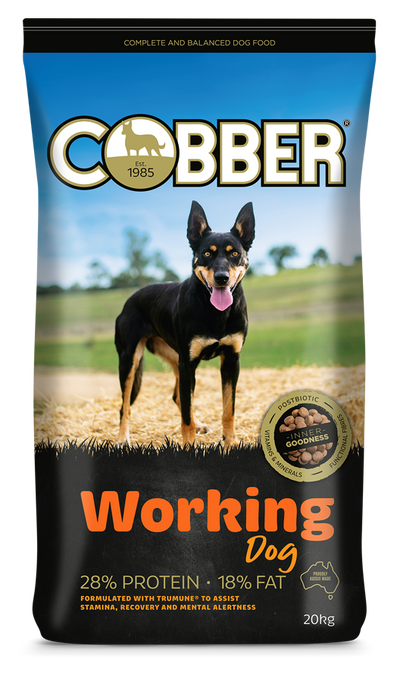Cobber Workdog 20Kg (36)