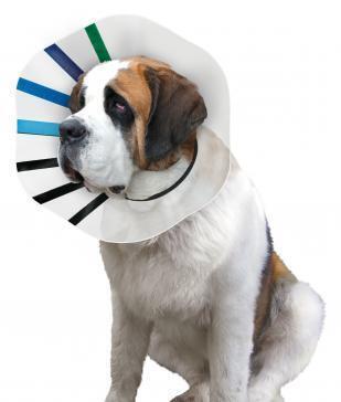 1 x KONG Ez Clear Collar - Xxlarge KONG