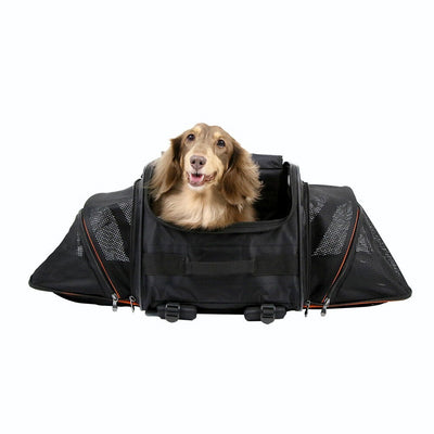 Ibiyaya JetPaw: Expandable Pet Carrier & Backpack - Obsidian/Orange Ibiyaya
