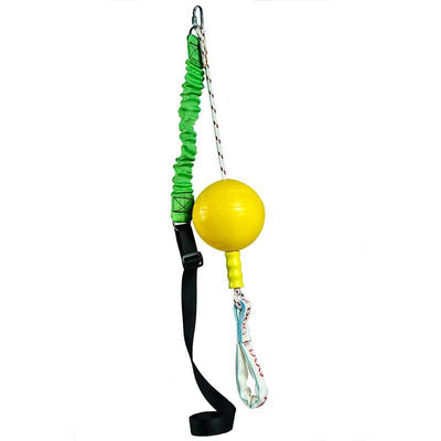 Aussie Dog Home Alone Med Aussie Dog