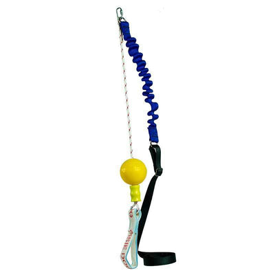 Aussie Dog Home Alone Mini Aussie Dog