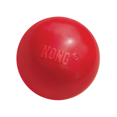 Kong Ball With Hole Lg
