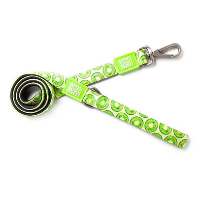 Max & Molly Dog Leash - Kiwi - Large
