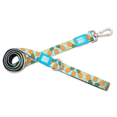 Max & Molly Dog Leash - Sweet Pineapple - Small Max & Molly