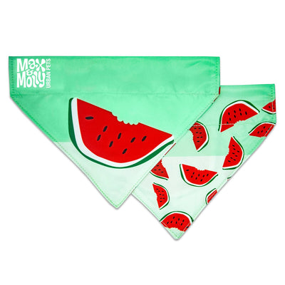 Max & Molly Bandana for Cats & Dogs - Watermelon - Small Max & Molly