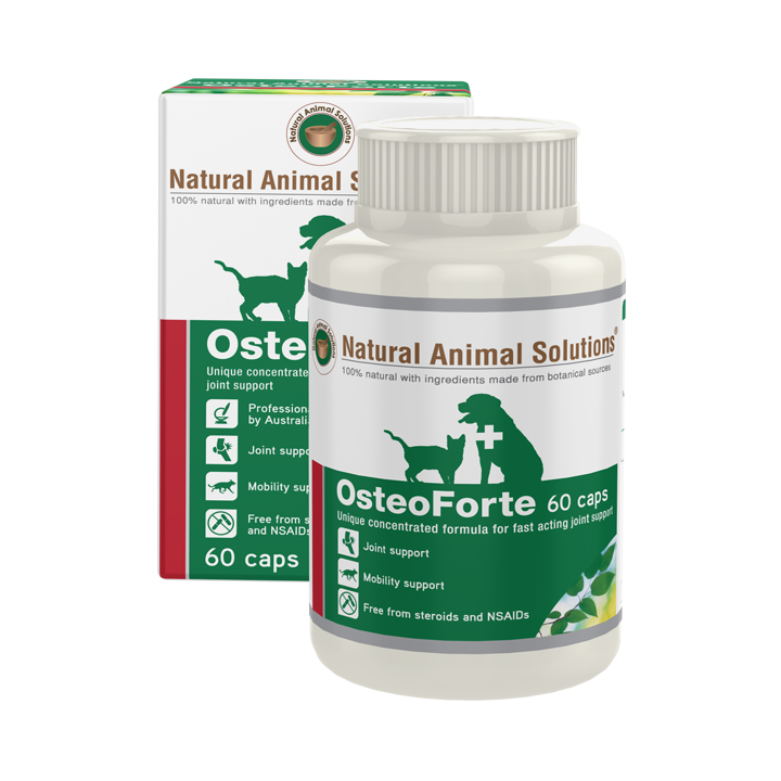 Natural Animal Solutions OsteoForte for Cats & Dogs 60 capsules Natural Animal Solutions