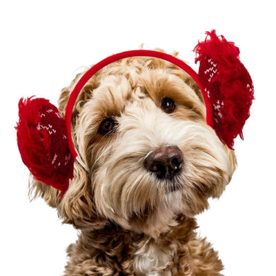 Outward Hound Christmas Earmuffs Headband for Dogs Outward Hound