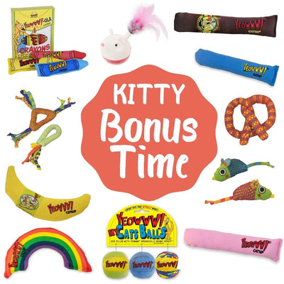 Yeowww and Petstages - Fun For Cats Bundle with BONUS Stock November Week 4 PetBull