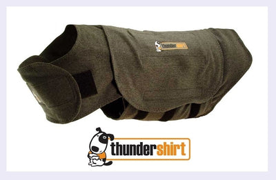 Thundershirt For Dogs ThunderShirt