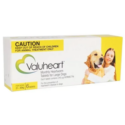 Valuheart Dog 21-40Kg - Gold 6S Large