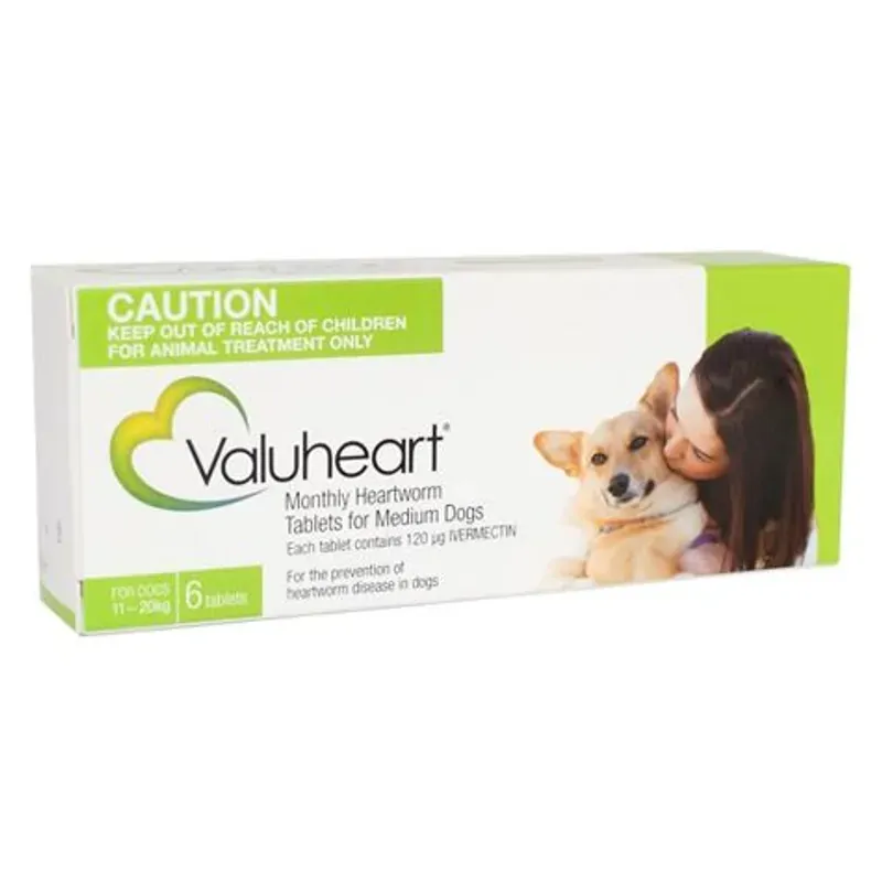 Valuheart Dog 11-20Kg - Green 6S Medium