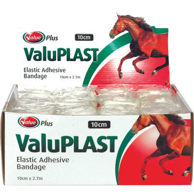 Valuplast Elastic Adhesive Bandage 10Cm Value Plus