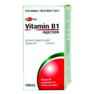 Value Plus Vitamin B1 100Ml