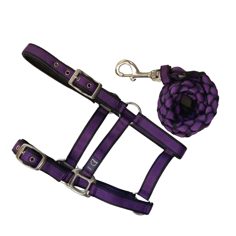 Anipal Autumn Lilac Comfort Halter & Lead Set Xfull