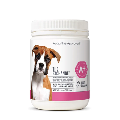 Augustine Approved The Exchange (Canine) 320G Augustine Approved