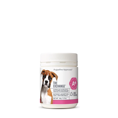 Augustine Approved The Exchange (Canine) 80G Augustine Approved