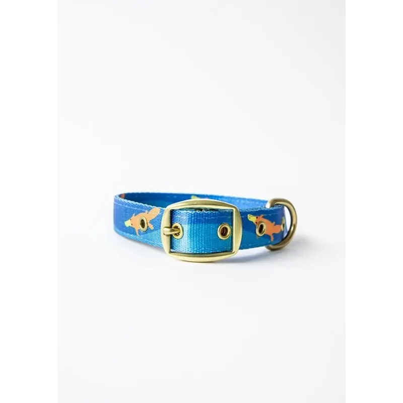 Anipal Piper The Platypus Dog Collar Medium