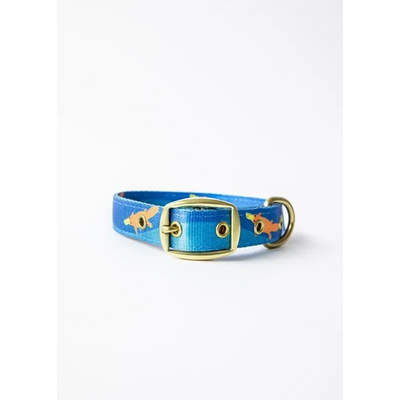 Anipal Piper The Platypus Dog Collar Small Anipal