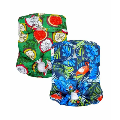 Loving Pets Washable Nappies Blue/Green Xlarge 2Pk