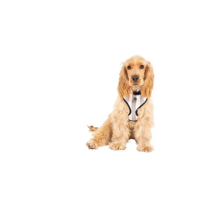 Mog & Bone Neoprene Harness Latte Hamp Stp Med