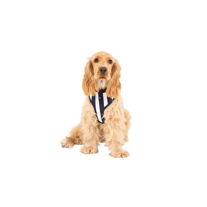 Mog & Bone Neoprene Harness Nav Hamp Stp Lge