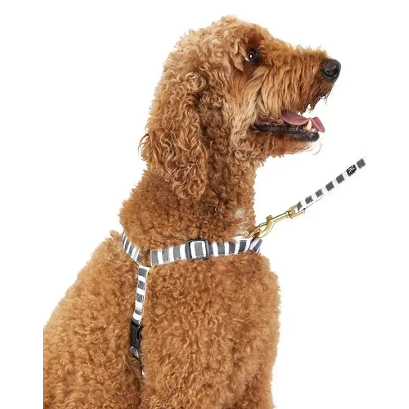 Mog & Bone Hemp No-Pull Harness Char Ham M