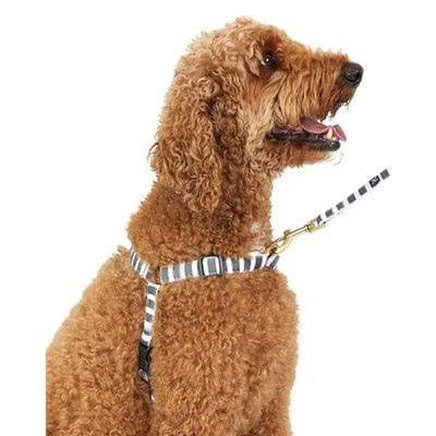 Mog & Bone Hemp No-Pull Harness Char Ham M