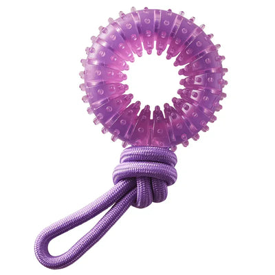 Outward Hound Dental Chew Wheel