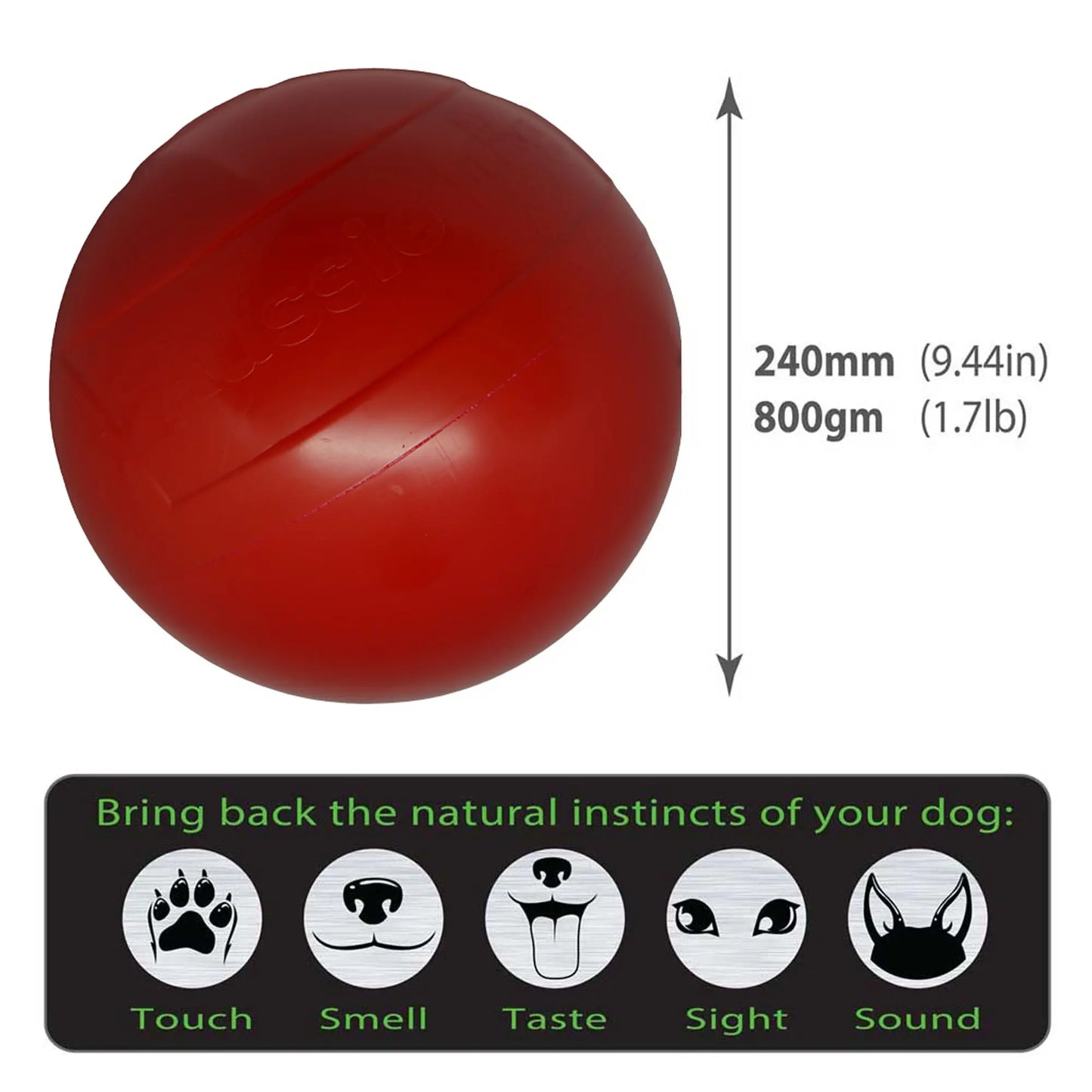 Aussie Dog Enduro Ball Large: Indestructible, Durable, Floating Dog Play Toy