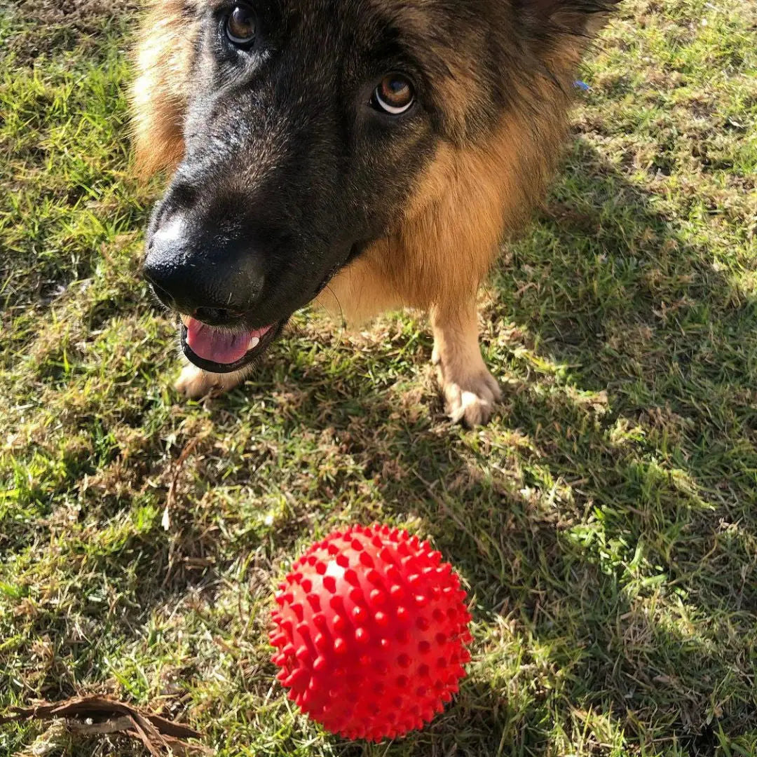 Ultimate Durable Red Catch Ball for Dogs, Interactive Fetch and Chew Toy
