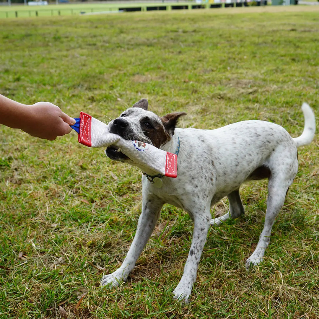 Aussie Dog Fetch It Small Durable Floating Dog Toy for Interactive Play