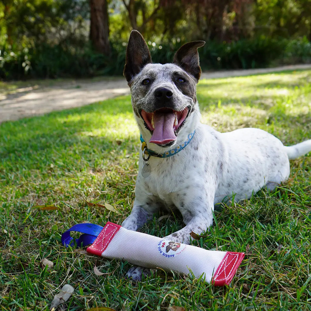 Aussie Dog Fetch It Small Durable Floating Dog Toy for Interactive Play