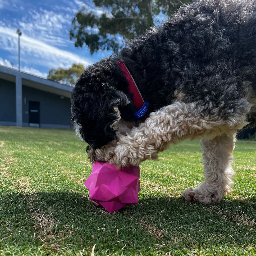 Monster Treat Ball: Durable Pink Rubber Dog Toy for Engaging Play & Treats