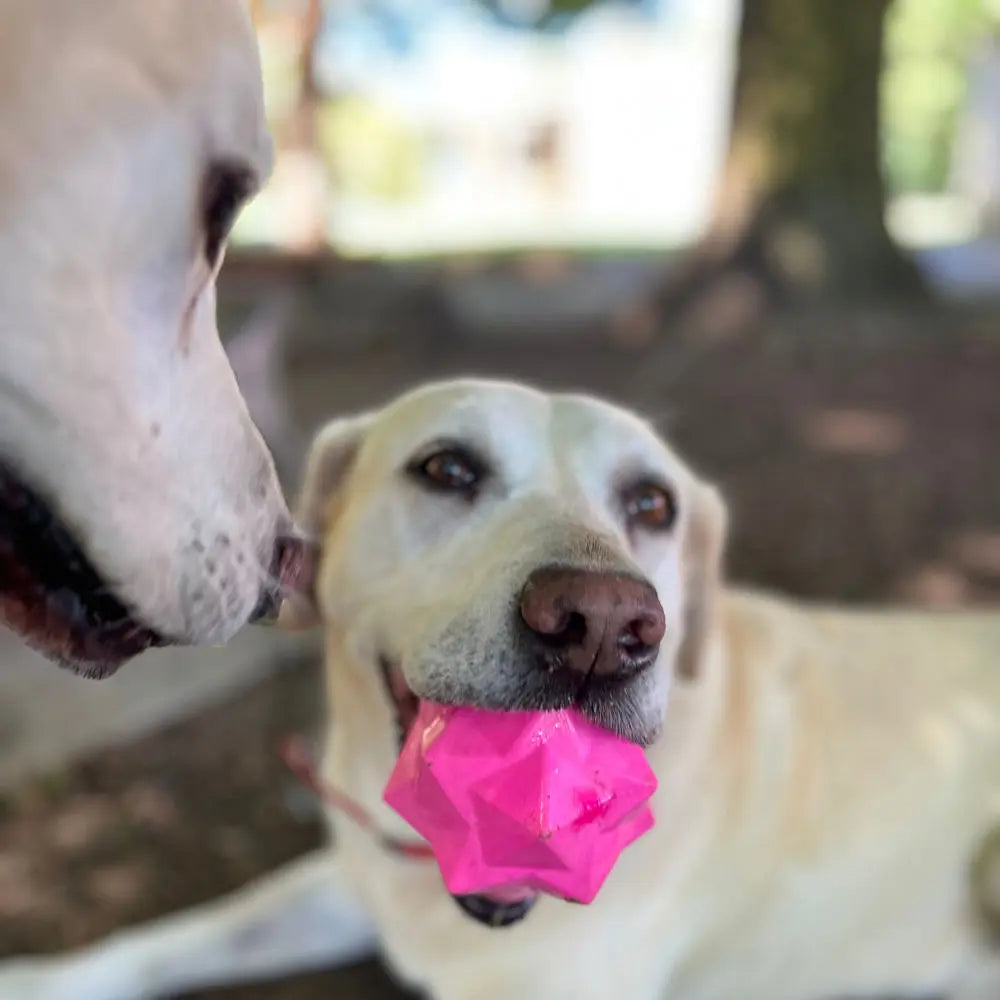 Monster Treat Ball: Durable Pink Rubber Dog Toy for Engaging Play & Treats