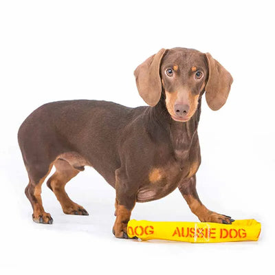 Durable Aussie Dog Tug Toy for Small Dogs - Interactive Fetch and Pull Play