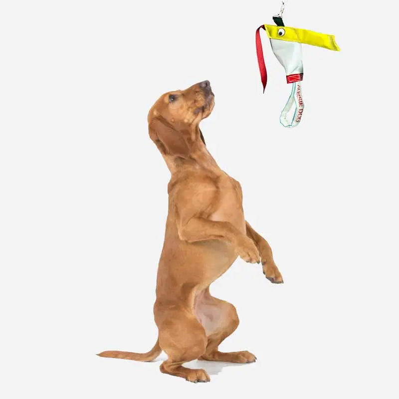 Aussie Dog Bungee Chook Standard: Durable Tug Toy for Energetic Dogs