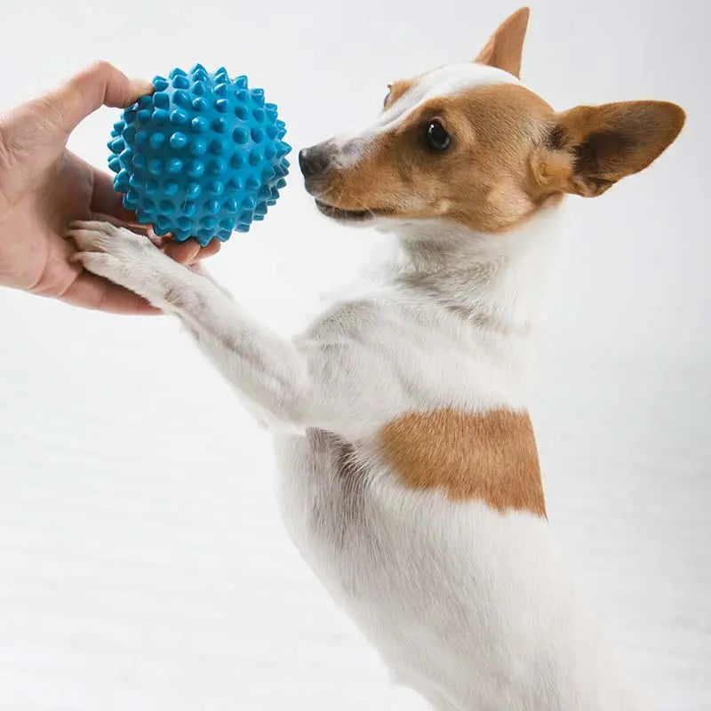 Aussie Dog Indestructible Blue Rubber Catch Ball for Active Dogs
