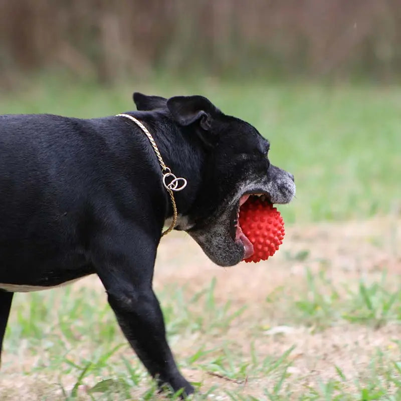 Ultimate Durable Red Catch Ball for Dogs, Interactive Fetch and Chew Toy