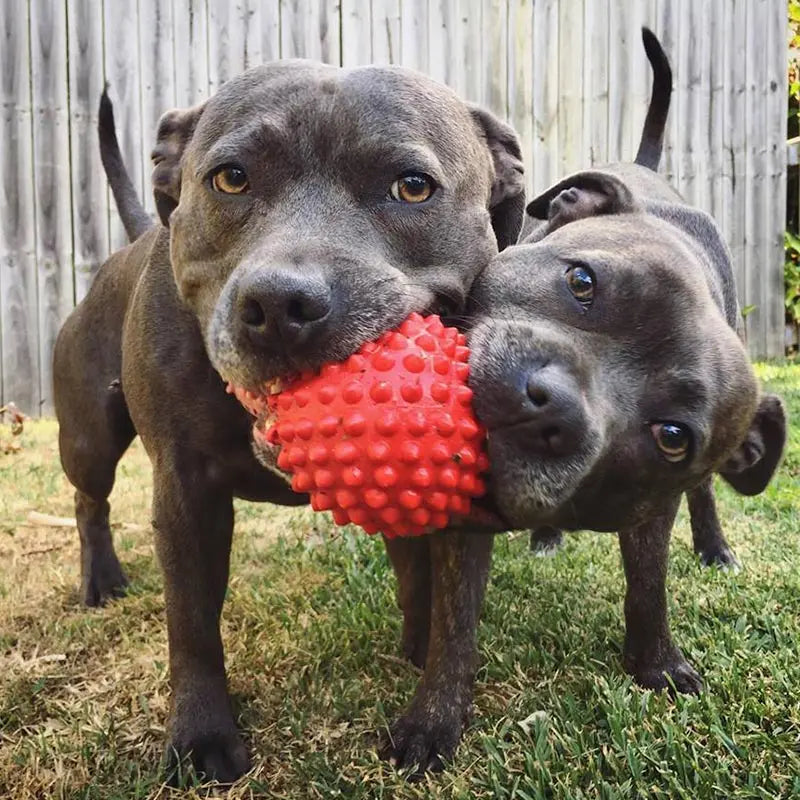 Ultimate Durable Red Catch Ball for Dogs, Interactive Fetch and Chew Toy