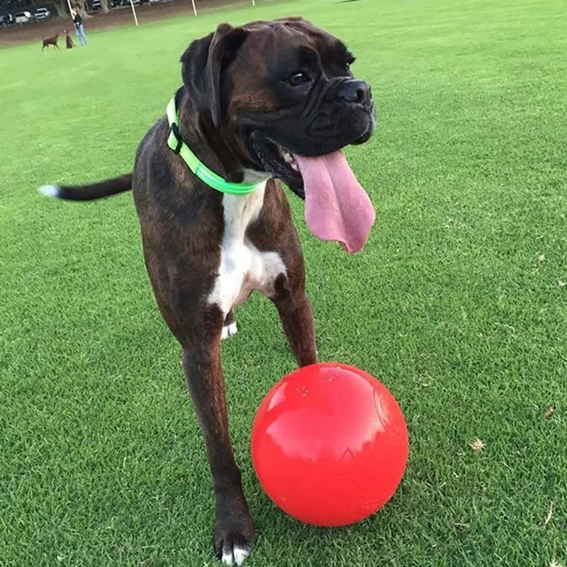 Aussie Dog Enduro Ball Large: Indestructible, Durable, Floating Dog Play Toy