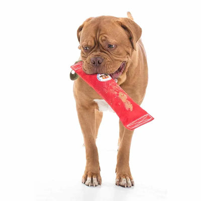 Large Fetch It Dog Toy: Durable Squeaky Chew Ball for Active Pups